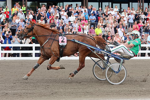 Ari Moilanen ajoi V.G. Voiton Suur-Hollola-ajon voittajaksi toissa kesänä. Vihreänuttuinen ohjastaja jatkaa rattailla myös lauantaina.