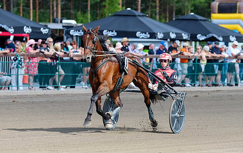 Ravihevonen hevosurheilu
