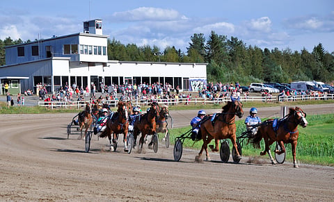 Suomenhevoslähtö Kokkolan raviradalla.