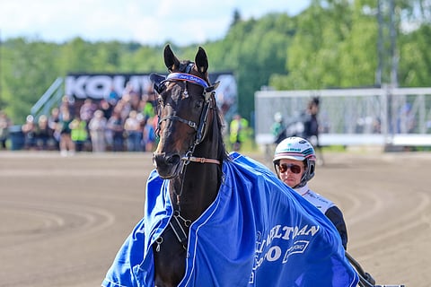 Kurri Jari Boko