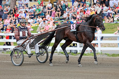Ravit Ruotsi