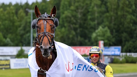 Ravihevonen Kyle Web ja Henri Bollström