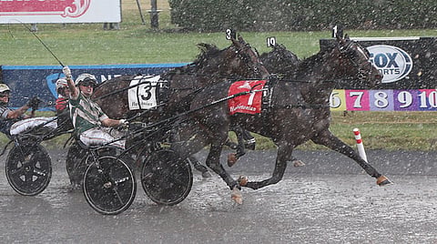Ravit USA