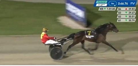 Ravit Australia