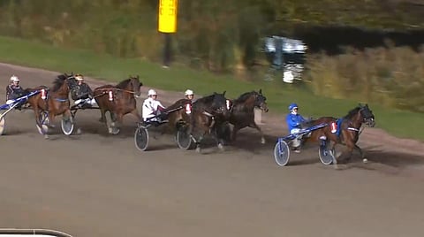Ravit Ruotsi