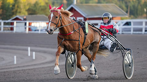 Runoneito on viime kilpailuissaan lyönyt kapuloita kuningattarien rattaisiin.