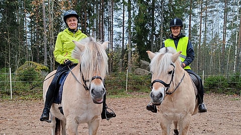 Pirkko Varjo ja Ritva Suominen, vanhat ystävykset Artukaisten tallilta, palasivat satulaan 50 vuotta myöhemmin. Edessä oli maasto vuonohevosten, Islan ja Linen, kanssa.