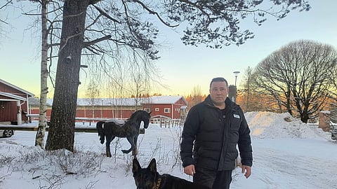 Anssi Wiik on laittanut Iissä ajopaikat kuntoon, ja pian talliin tulee mielenkiintoinen vahvistus.