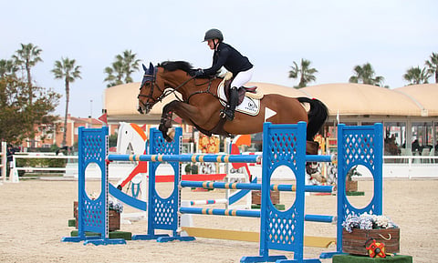 Anni Hjerpe on takonut tuloksia Olivassa. Kuvan Chacco's Dominator hyppäsi perjantaina 135- tasolla nollan ja sijalle 7. Sunnuntaina Callboy venyi 150 GP:n kahdeksanneksi.