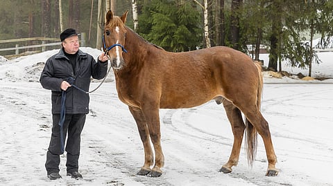 Tuuskanen ja Kimmo Niemelä