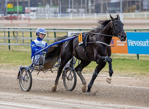 Ravit Ruotsi