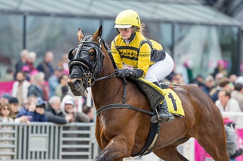 J.J. Dragon lähtee Elina Pakkasen kanssa Ruotsiin talveksi.