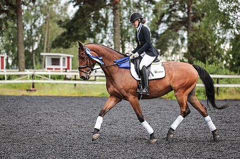 Stall Solbackan asiakas Heidi Tauriainen ja opetushevonen Golden Loma voittivat jälleen senioreiden henkilökohtaisen koulumestaruuden ja Solbacka on paras kouluratsastuskoulu.