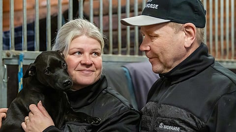 Rinna Tammimetsä, Jyrki Tammimetsä ja Luka-koira viihtyyvät tallilla.