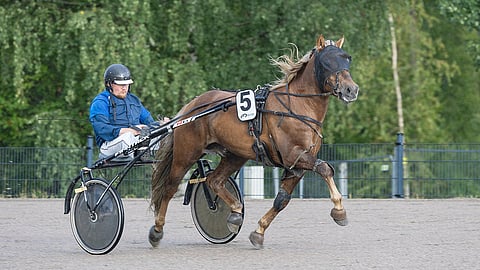 Heikki Hoffren ja Häijymies jo useamman vuoden olleet raviratojen väriläiskä. Arkistokuva.