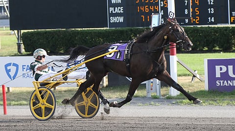 Ravit USA