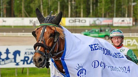 Metsärinteen Pommin edellinen kilpailu on Derbyn finaali, jossa se sijoittui kakkoseksi.