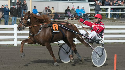 Vixus, Janne Soronen
