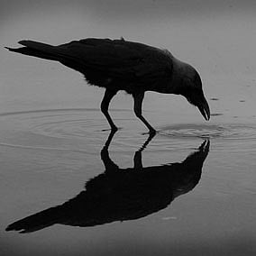 Photo: Flickr / surajram