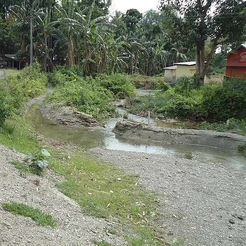 The course of a dong channel in a village near Mushalpur, Baksa, where a subsidiary dong branches off to fields and homesteads.
Photo : Aparna Unni