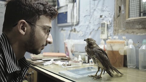 It is hard to identify the exact moment at which All That Breathes transforms from a chronicle of two brothers’ mission to save kites into a document of the tenuous position of Muslims in contemporary India.