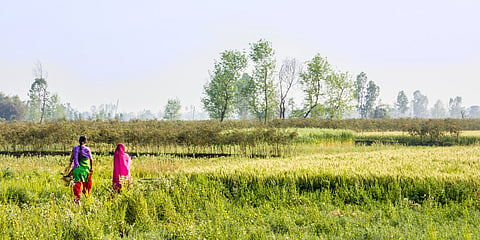 Two women walk across the fields of the Terai in southern Nepal. In ‘The Woman Who Climbed Trees’, Smriti Ravindra unravels the experiences of Nepali women who leave their parent’s homes after marriage, and in the process become strangers to their own selves, and outsiders in these settings. Photo: IMAGO / Dreamstime