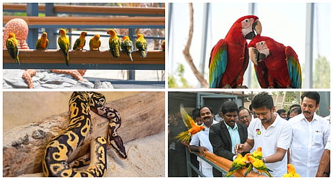 Trichy Birds Park