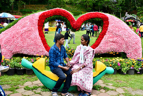 kodaikanal flower show photo gallary images