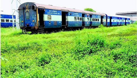 எலி, கரப்பான்பூச்சி தொல்லையால் அவதிப்படும் ரயில் பயணிகள்