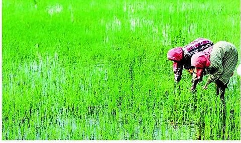 ஜிடிபி 4.5 சதவீதமாக இருக்கும்