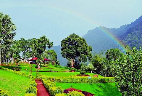 உதகை: கோடை சீசனுக்காக காட்டேரி பூங்காவில் 1.5 லட்சம் மலர்கள்