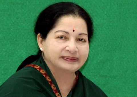 48 நாட்களுக்கு யானைகள் நலவாழ்வு முகாம்: முதல்வர் உத்தரவு