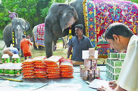 கோவையில் தொடங்கியது யானைகள் நல வாழ்வு முகாம்