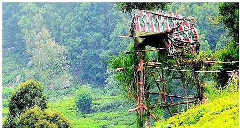உதகை: மனித வேட்டை புலியை கண்காணிக்க 62 கேமராக்கள்!