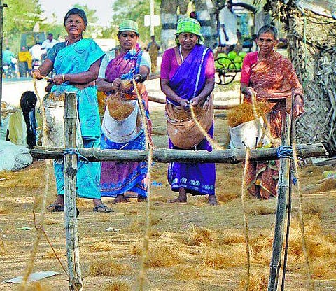 ஈரோடு: கடும் பாதிப்பில் கயிறு திரிக்கும் தொழில்! தேங்காய் விளைச்சல் குறைந்ததே காரணம்