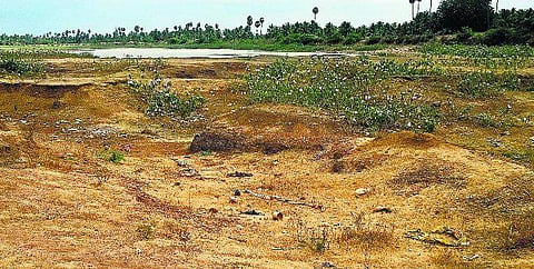 கோடைக்கு முன்பே வறளும் கோவை குளங்கள்