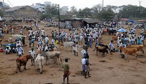 உங்க தொகுதி எப்படி இருக்கு? - மணப்பாறை