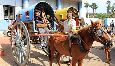 ராமேஸ்வரத்தில் இருந்து இலங்கைக்கு கடத்தப்படும் அரிய வகை கோவேறு குதிரைகள்