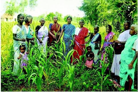 ஆதரவற்ற பெண்களுக்கு வழிகாட்டும் ‘வெளிச்சம்’ அமைப்பு: சாதிக்கும் பசுமை இயற்கை விவசாயிகள் சங்கம்