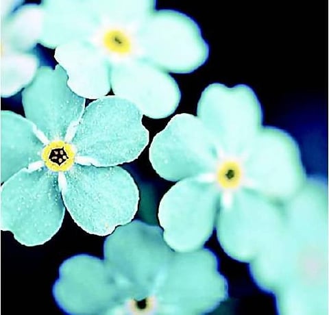 அன்பின் வழி எது?