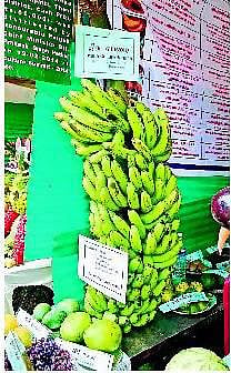 குன்னூர் பழக் கண்காட்சியில் பார்வையாளர்களை கவர்ந்த திசு வாழை