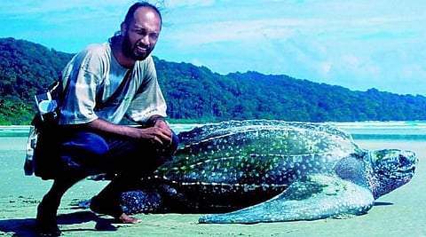 ஆராய்ச்சியாளரை உருவாக்கிய ஆமை