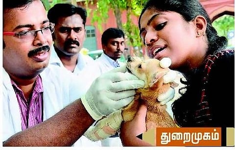 வகை வகையான மருத்துவப் படிப்புகள்