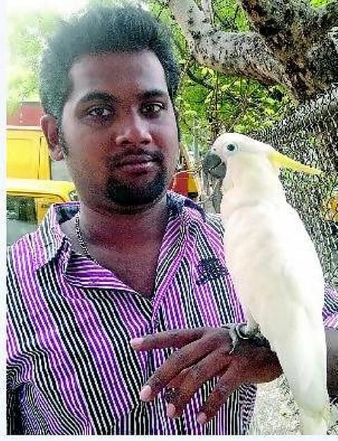 செல்லமே செல்லம்