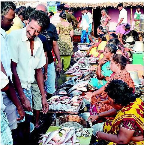மீன்பிடித் தடைக்காலம் முடிந்ததால் சிறிய மீன்களின் வரத்து அதிகரிப்பு: வஞ்சிரம், இறால் மீன்கள் கிடைக்காததால் ஏமாற்றம்