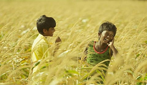 வளர்ச்சிப் பாதையிலா தமிழ் சினிமா?- ஒரு சினிமா ஆர்வலரின் ஆதங்கம்