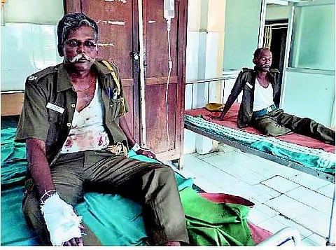 வன ஊழியர்களை கட்டிப்போட்டு சந்தன மரங்கள் கடத்தல்