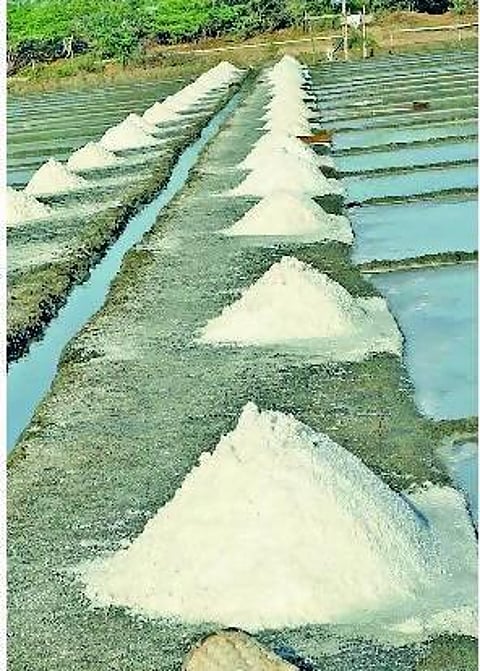 தேக்கமடையும் உப்பு; தவிப்பில் உற்பத்தியாளர்கள்: வேதாரண்யம் பகுதியில் உற்பத்தி அதிகரித்தும் பயனில்லை