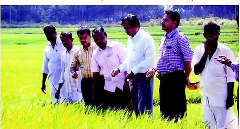 விதைச் சான்றளிப்பு வழிமுறைகள்