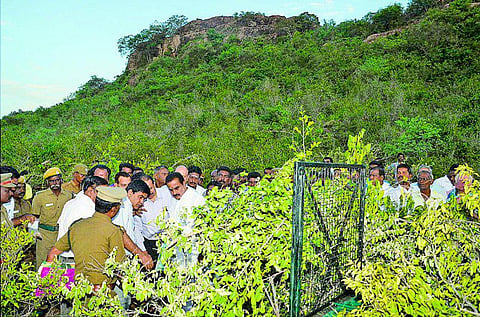 அஞ்சூர் வனப்பகுதியில் அமைச்சர் நேரில் ஆய்வு: சிறுத்தைப்புலியை பிடிக்க தீவிர நடவடிக்கை